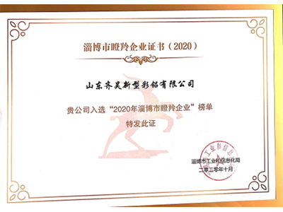 2020 Zibo Gazelle Enterprise
